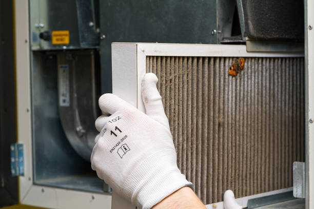 Best Dryer Vent Cleaning Services  in Brundidge, AL