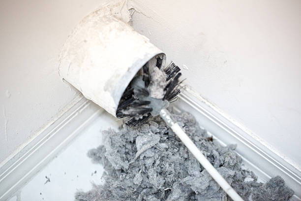 Best HVAC Maintenance and Cleaning  in Brundidge, AL