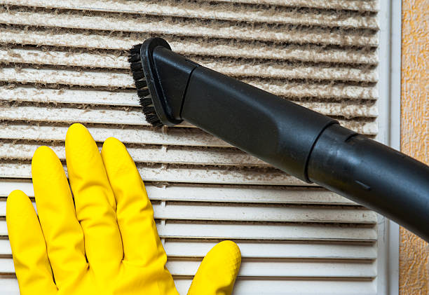 Best Air Duct Sanitizing Services  in Brundidge, AL
